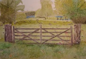 Gate to open landscape