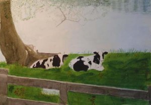 Resting Calves