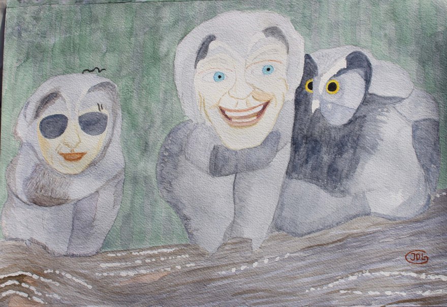 jdl_tengmalms_img_0465_b